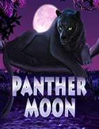 เว็บ พนัน ไฮโล ออนไลน์ เกมเดิมพันที่ไม่ควรพลาด